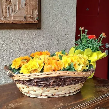 Vegan La Mucca Felice - Grazioso Nel