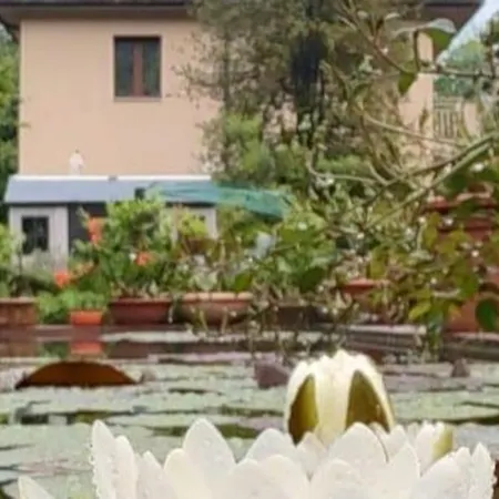 Appartement Vegan La Mucca Felice - Grazioso Nel *