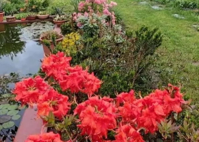 アパート Vegan La Mucca Felice - Grazioso Nel